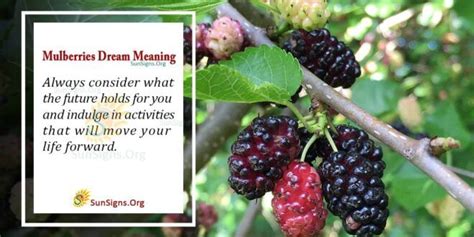 The symbolism behind consuming mulberries in a dream: fulfillment and joy