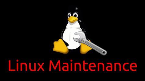 Tips and Best Practices for Maintaining a Linux Web Server