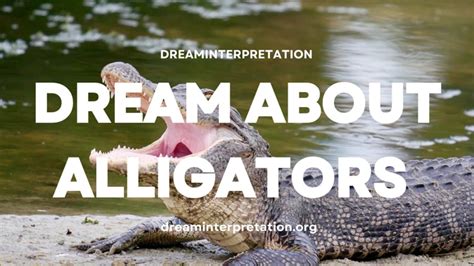 Tips for Analyzing and Decoding Dreams of Marshlands and Crocodiles