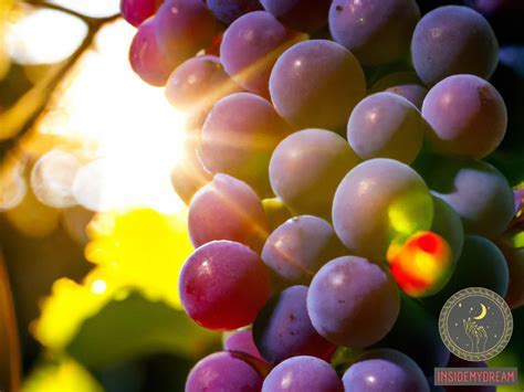 Tips for Analyzing and Decoding Your Grape Dream