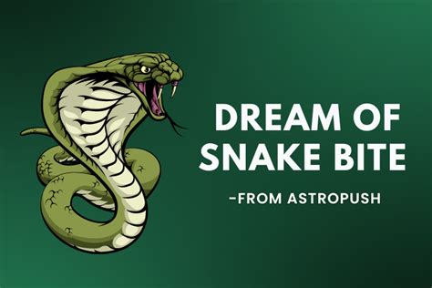 Tips for Decoding Snake Attack Dreams