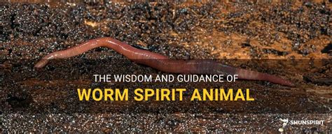 Tips for Embracing the Wisdom and Guidance Found in Worm Insights