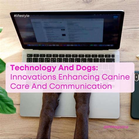 Tips for Enhancing Dream Communication with the Canine Visitor