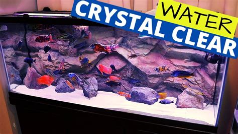 Tips for Maintaining Crystal Clear Aquarium Water