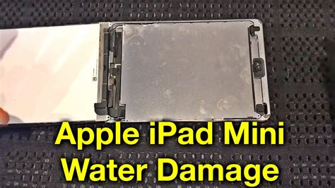 Tips for Preventing Damage to Your iPad Mini's Display