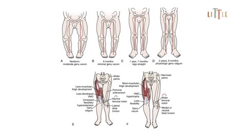 Tips for Reflecting on and Utilizing the Significance of Lower Leg Imaginations for Personal Development