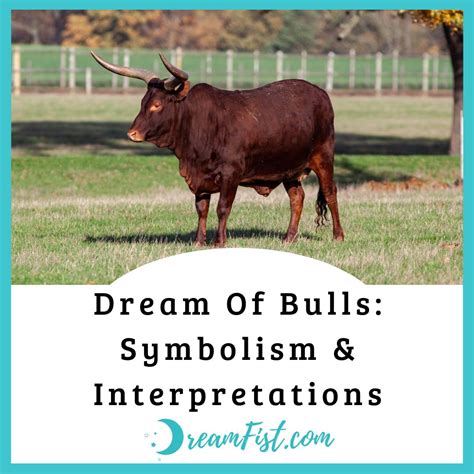 Tips for Reflecting on and Utilizing the Symbolic Significance of Bulls in Your Dream Interpretation