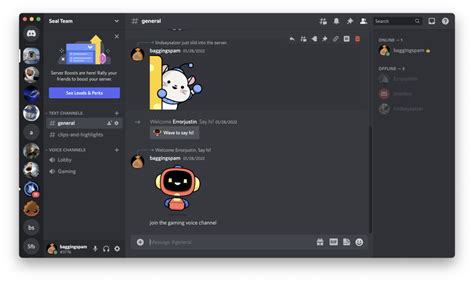 Tips for enhancing your sharing experience on Discord iPad