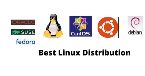 Top 5 Linux Distributions Perfect for Novice Users