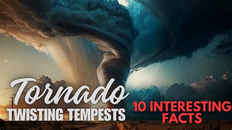 Tornado Alley: A Hotspot for Twisting Tempests