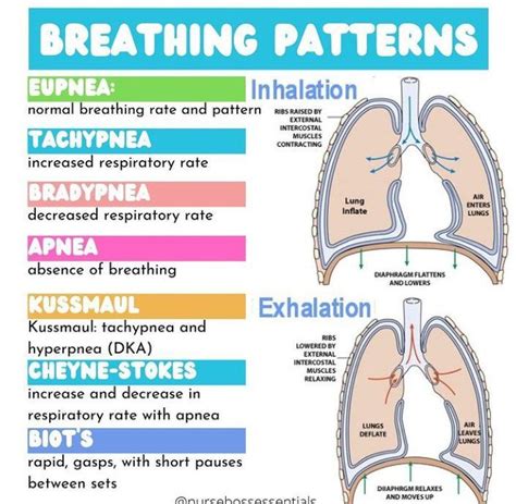 Tracking Your Respiration Patterns and Progress