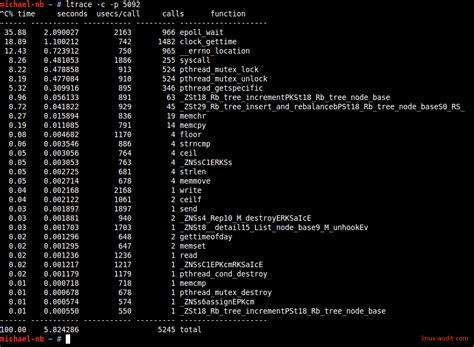 Tracking and Evaluating Processes in a Linux Environment