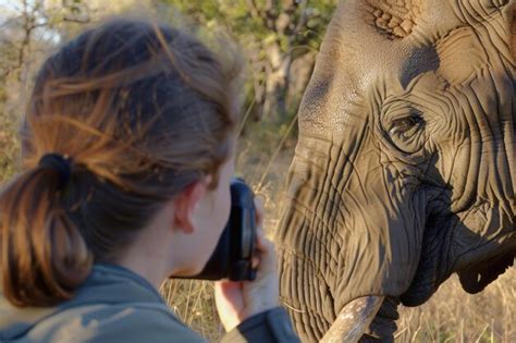 Transformative Encounters: How Capturing a Whiskered Wonder Can Alter Lives Forever