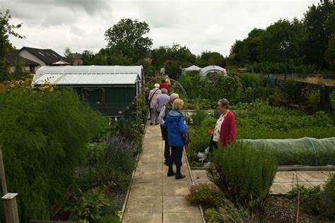 Transforming Unproductive Land into a Flourishing Garden: Yulia Minaeva's Innovative Approach