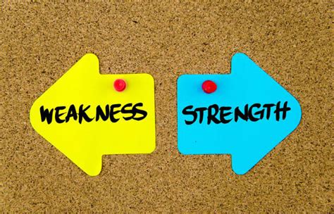 Transforming Weaknesses into Strengths: From Fry to Fly