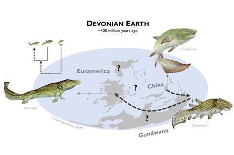 Transitioning from Water to Land: An Evolutionary Milestone