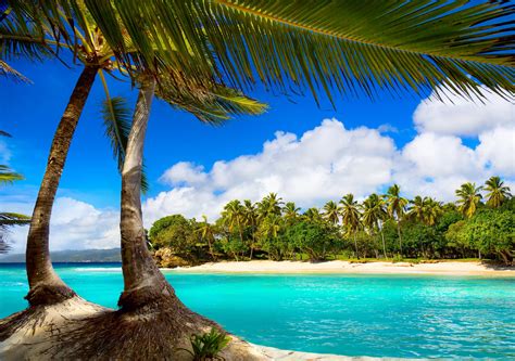 Tropical Paradise on Screen: Explore the Finest Beaches Globalwide