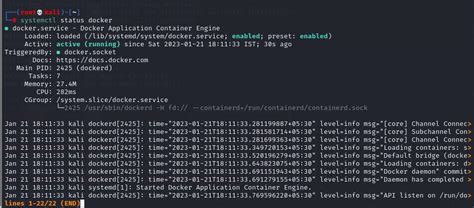 Troubleshooting "Cannot connect to the Docker daemon" Error in Linux Mint