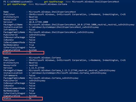 Troubleshooting Common Issues during Windows PowerShell Core Setup