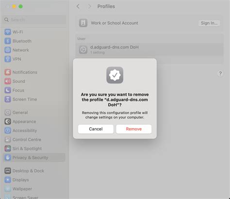 Troubleshooting Common Issues when Configuring AdGuard DNS on iOS 14