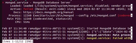 Troubleshooting Guide: Resolving Connection Issues between MongoDB and Docker