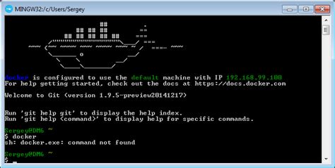 Troubleshooting Issues with Running Bash Scripts in Docker on a Windows System