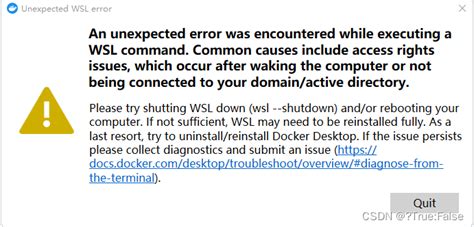 Troubleshooting common issues when using Docker in the WSL environment