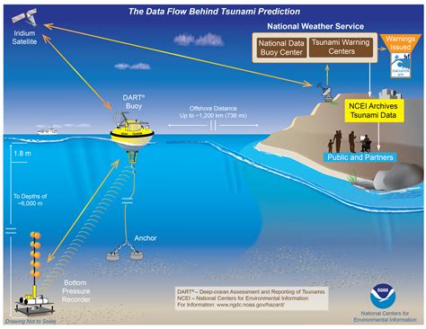 Tsunami Detection Technology: Innovations in Early Warning Systems