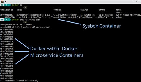 Tweaking Docker Configuration to Replicate Systemd Service Functionality