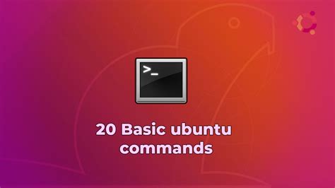 Ubuntu: The Choice for Beginners