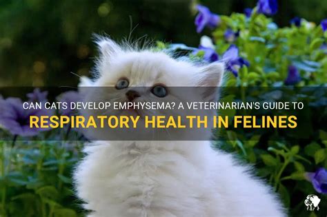 Unbelievable Physiology: Can Felines Deliver Fully Developed Offspring?