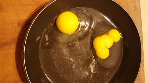 Unbelievable Surprise: Exceptional Discovery of a Rare Twin-Yolked Miracle in a Small Egg