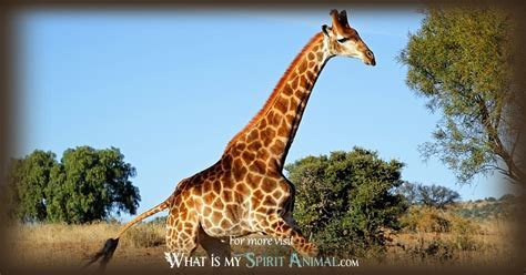 Unconscious Desires: Revealing Inner Longings and Ambitions Associated with Giraffe Dreams