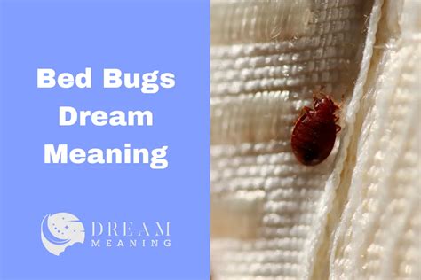 Uncovering the Connection Between Bedbug Dreams and Feelings of Vulnerability