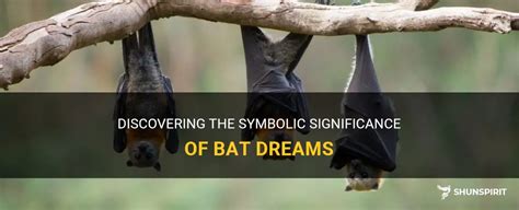 Uncovering the Significance of Bats in the Realm of Dreams