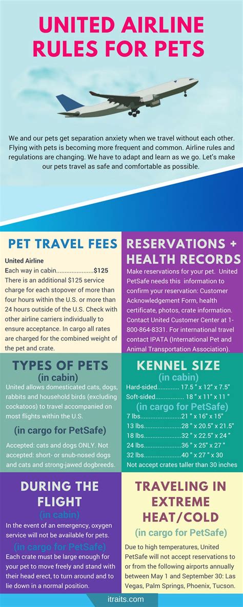 Understanding Airline Pet Policies and Regulations