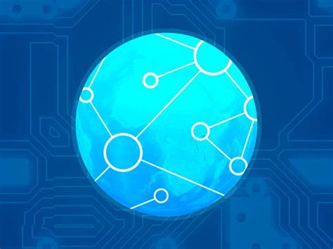 Understanding Cellular Connectivity