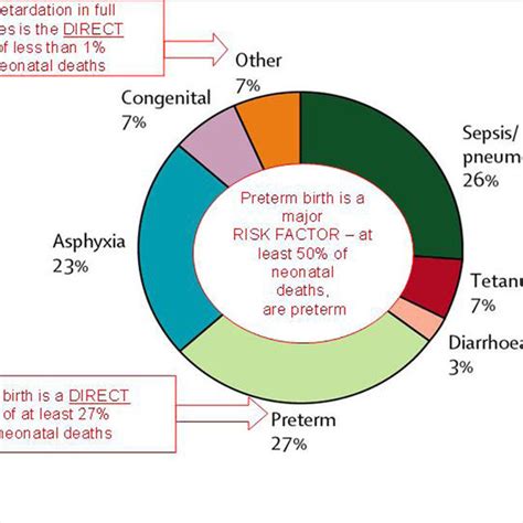 Understanding Common Causes of Neonatal Feline Fatality