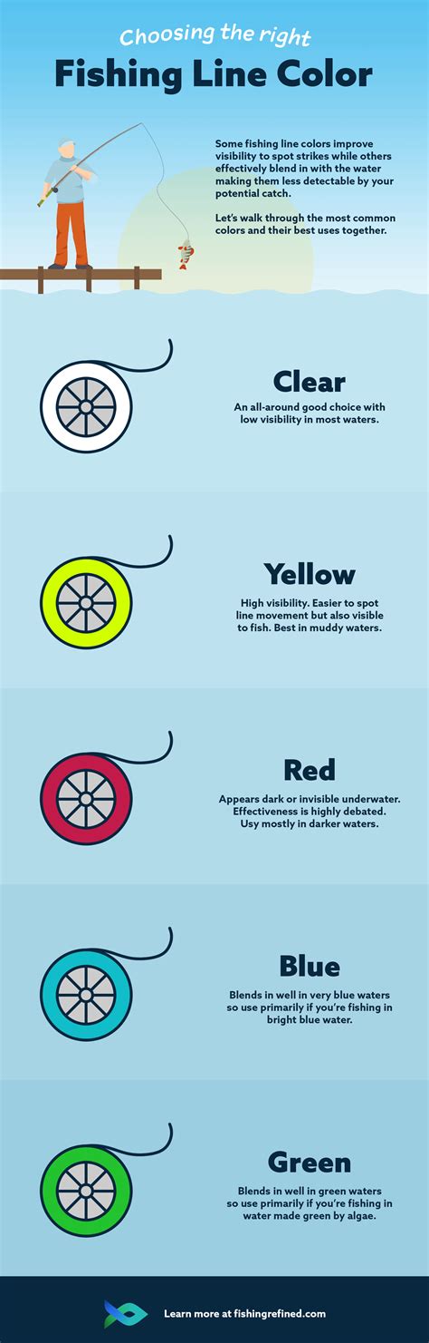 Understanding Different Types of Fishing Lines