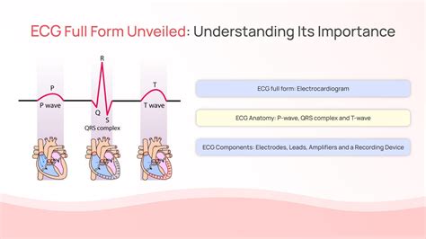 Understanding ECG and its Importance