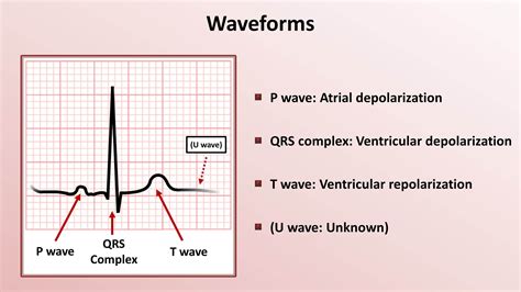 Understanding Electrocardiogram (ECG)