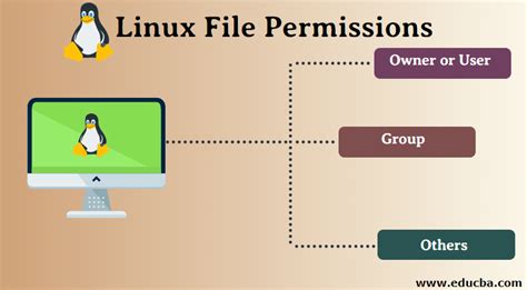 Understanding File Permissions and User Roles in a Linux Environment