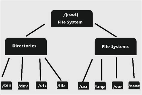 Understanding File Sharing in the Windows Operating System