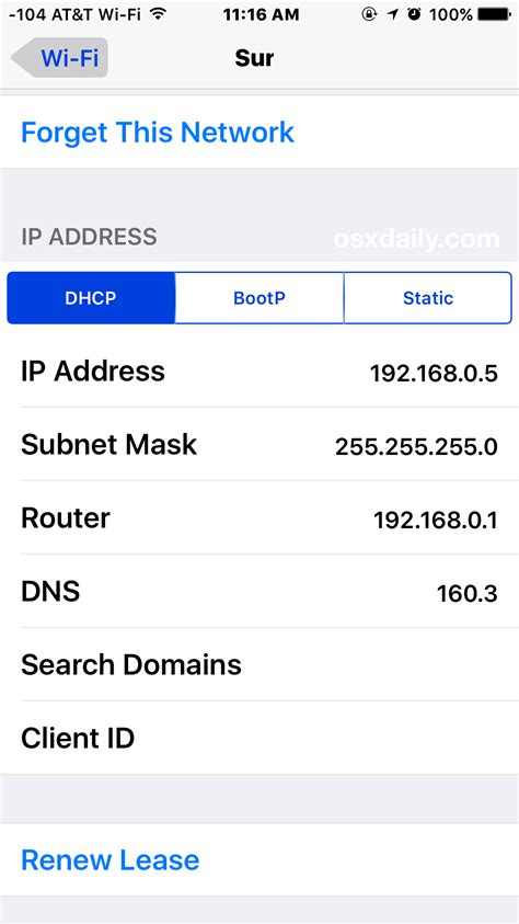 Understanding IP Address on iPhone