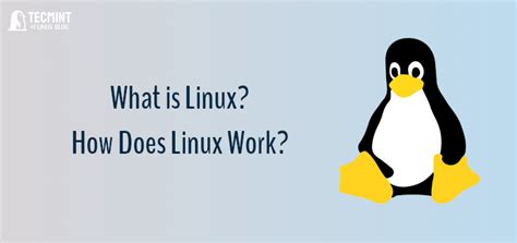 Understanding Linux: An Overview