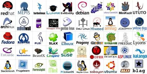 Understanding Linux Distributions: Exploring Their Variations and Distinctions