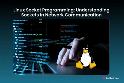 Understanding Linux Sockets