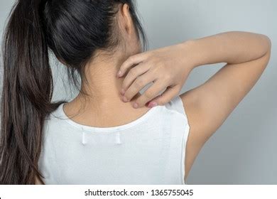 Understanding Perspiration on the Nape and Occiput in Women during Sleep