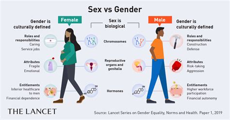 Understanding Same-Gender Attraction: Challenging Preconceptions