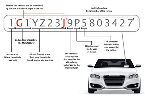 Understanding Serial Numbers: What Do They Mean?